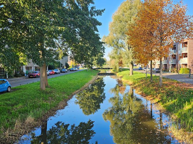 Hartschelpsingel 12, Den Haag