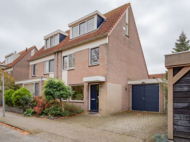 Ceder 31, Hoorn