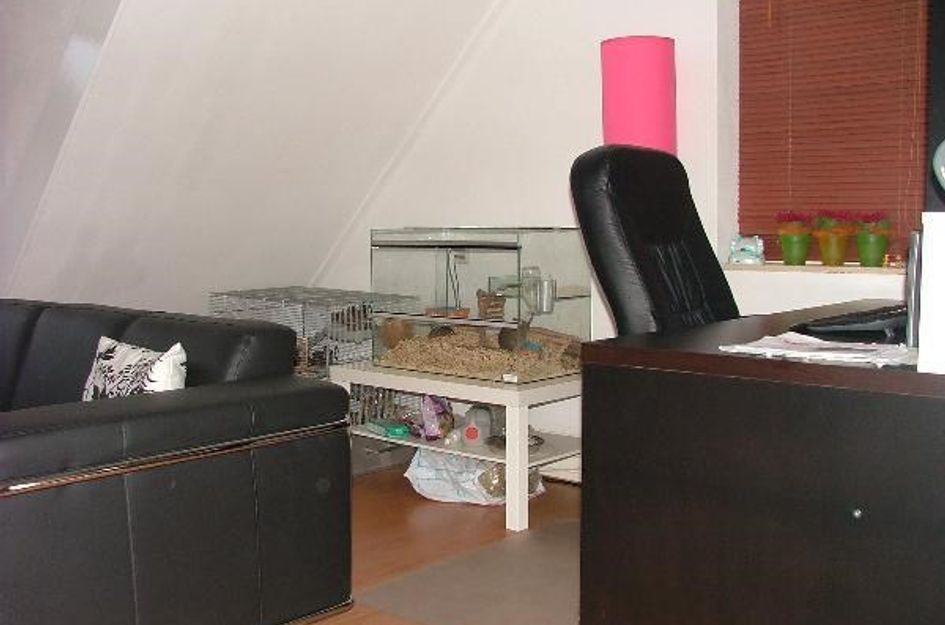 De Twee Gebroeders 133