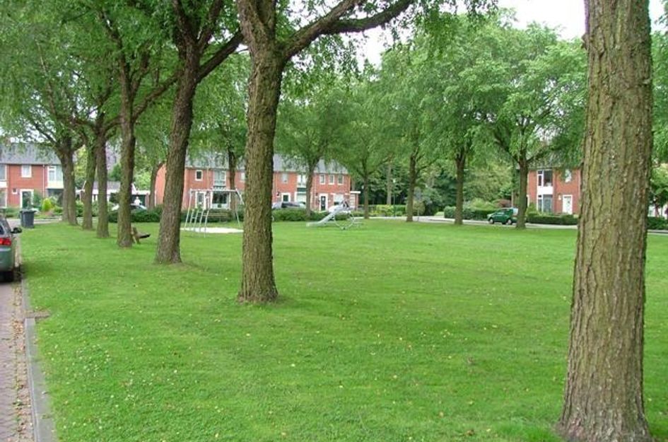 Van Haersmaplein 22