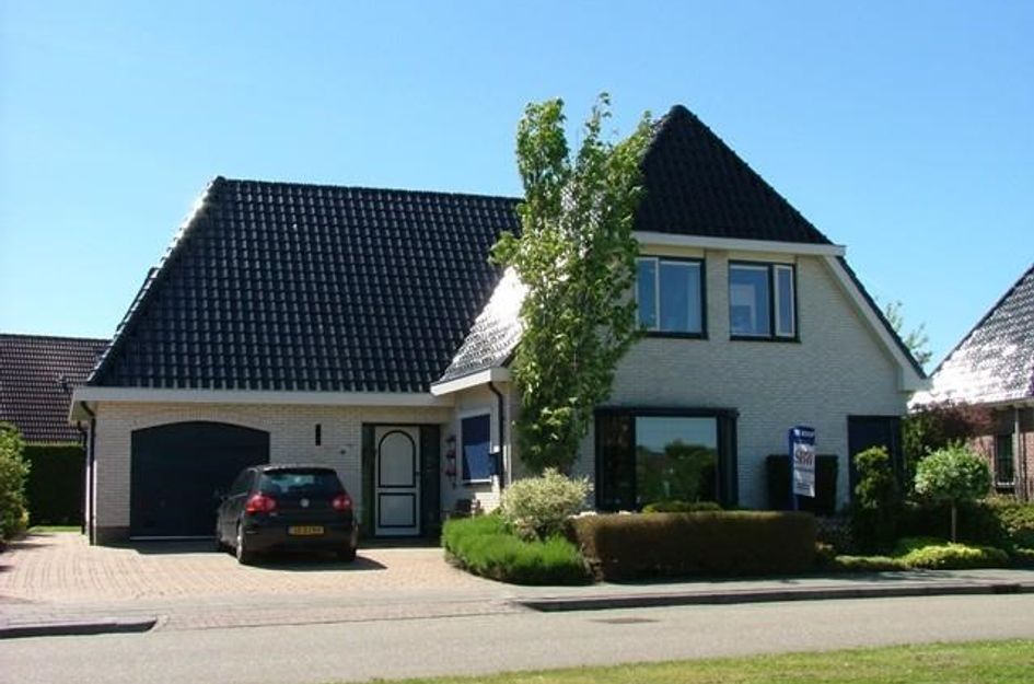 Pijlkruid 19