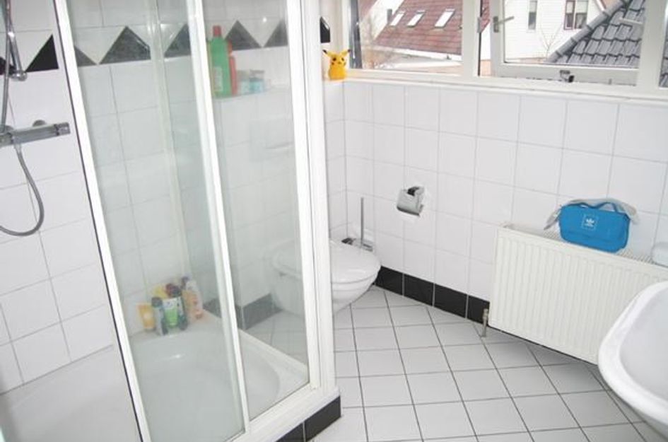 Pijlkruid 19