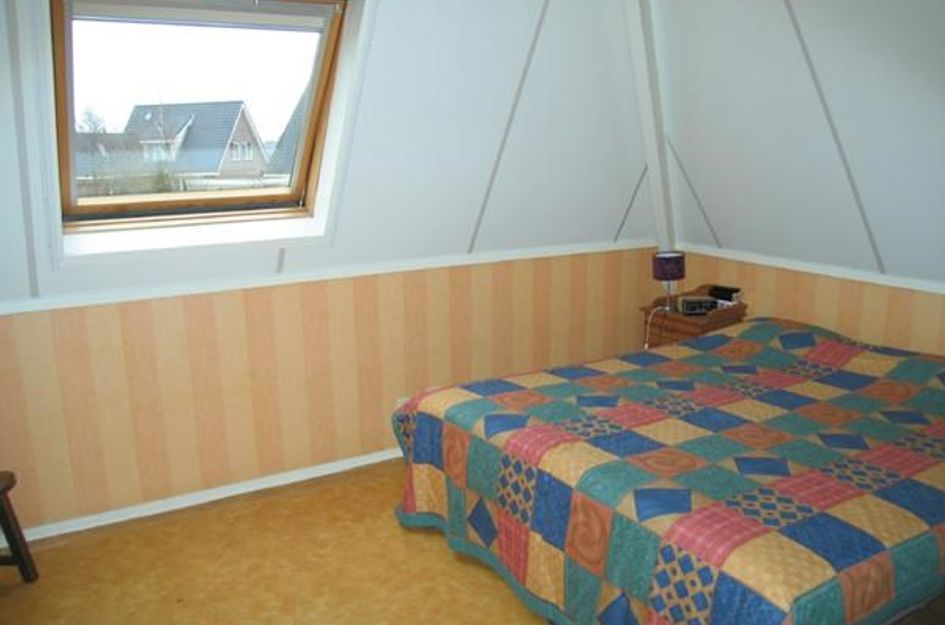 Pijlkruid 19