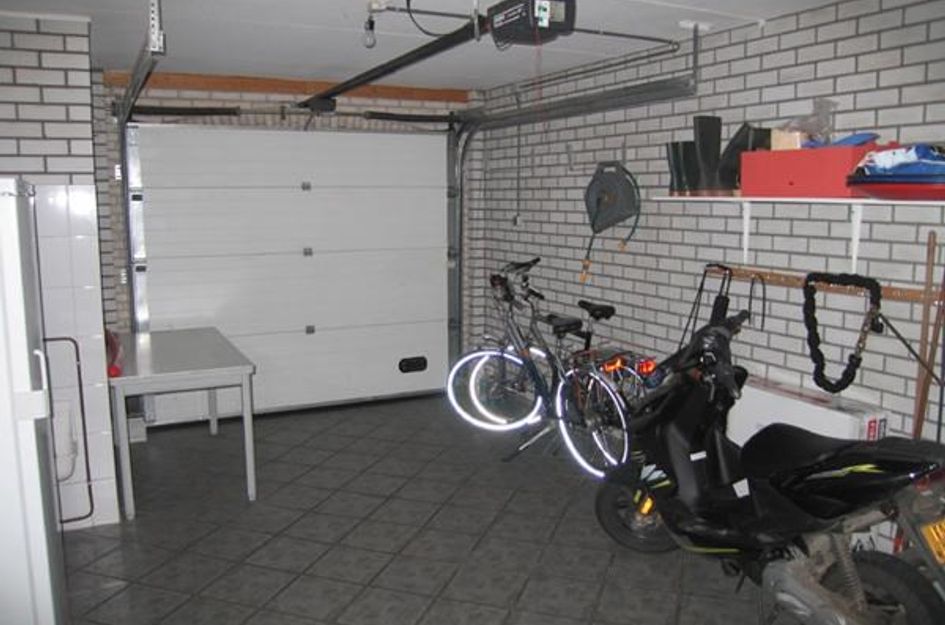 Pijlkruid 19