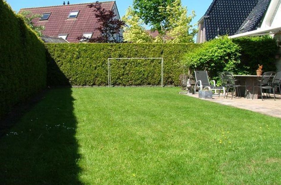 Pijlkruid 19