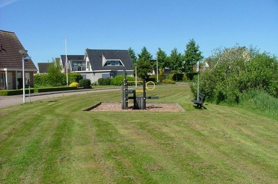 Pijlkruid 19