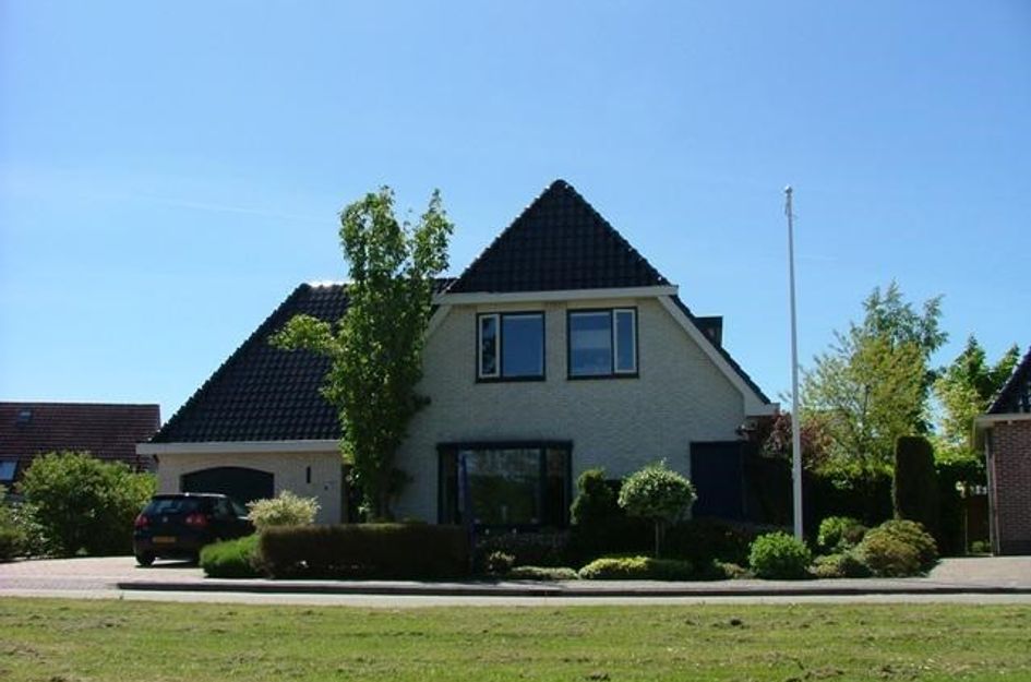 Pijlkruid 19