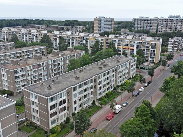 Aaltje Noordewierstraat 69, Den Haag