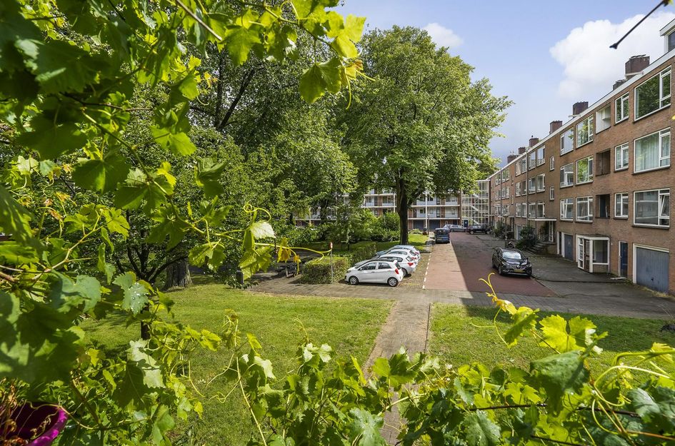 Zuid-Hollandstraat 20 1