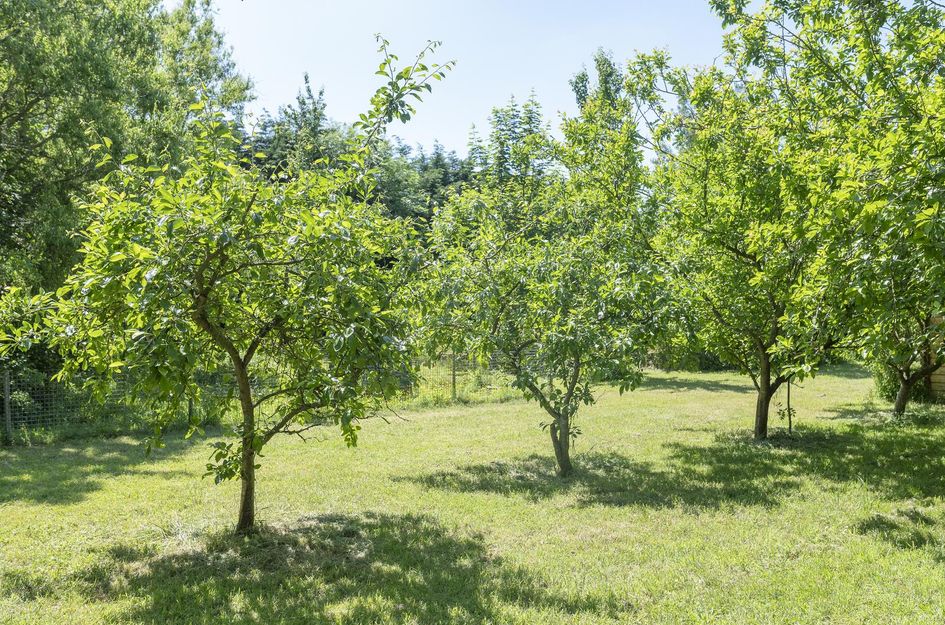 Oudelandsedijk 26