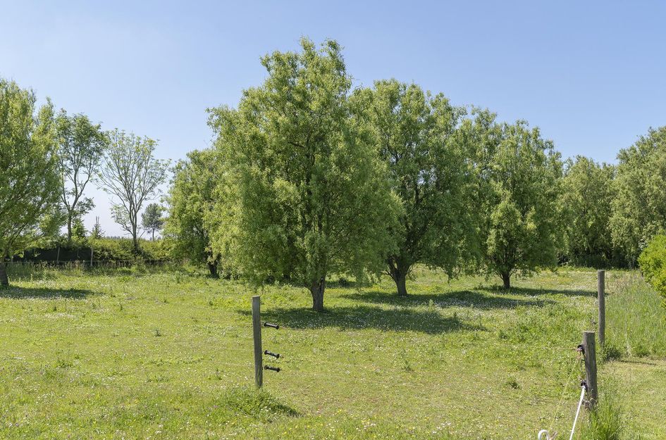 Oudelandsedijk 26