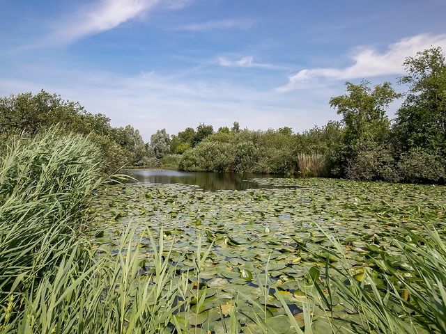 Eilandseweg 32C191, Nederhorst den Berg