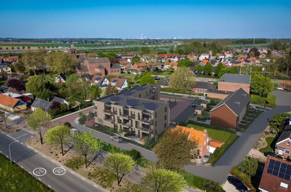 De Zwaluw 