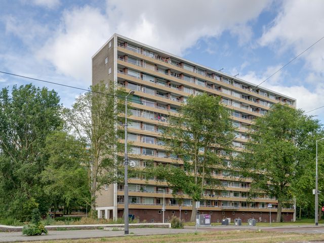 Langswater 509, Amsterdam