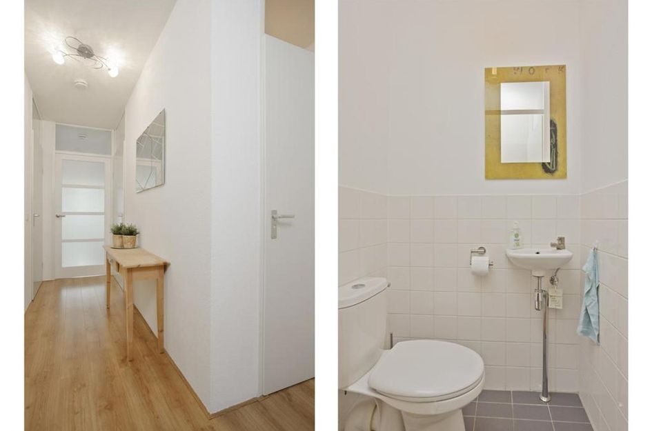 Stoeterij 8