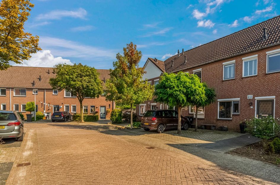 Gravekamp 91