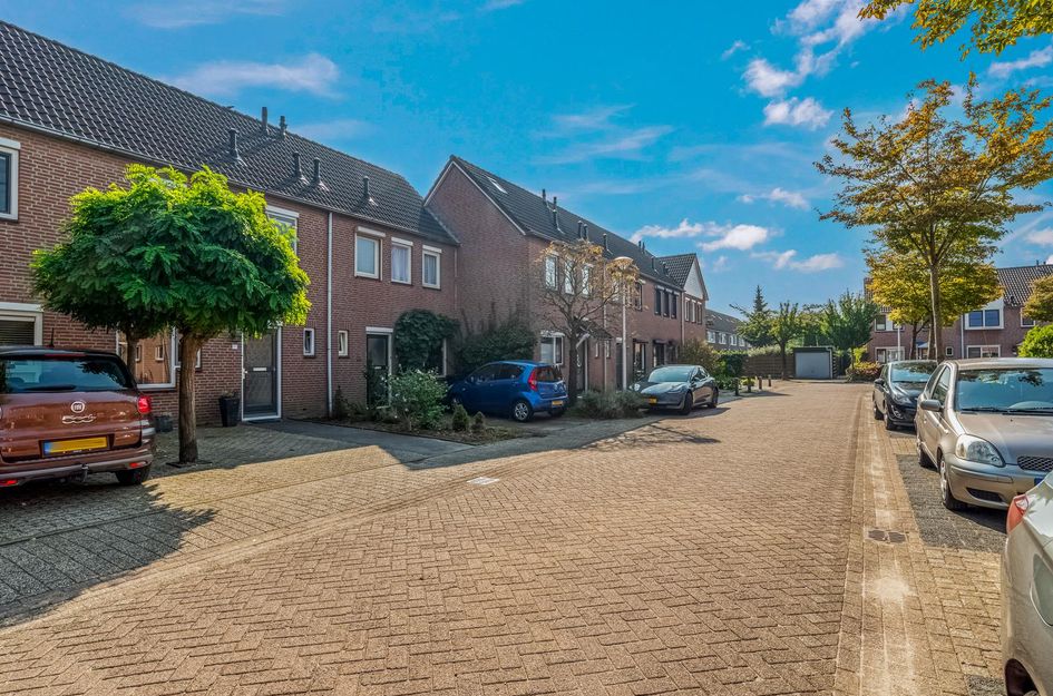 Gravekamp 91