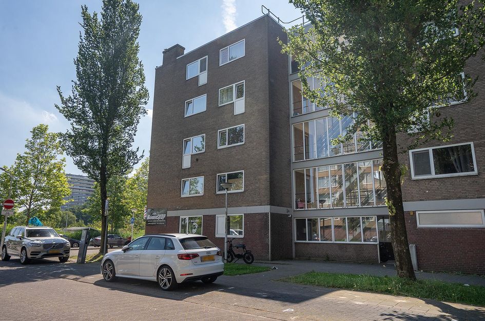 Linnaeusstraat 238