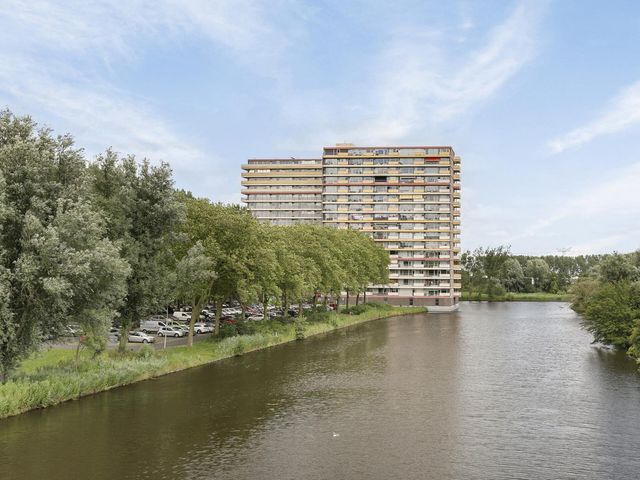 Oost-Dorsch 113, Zaandam