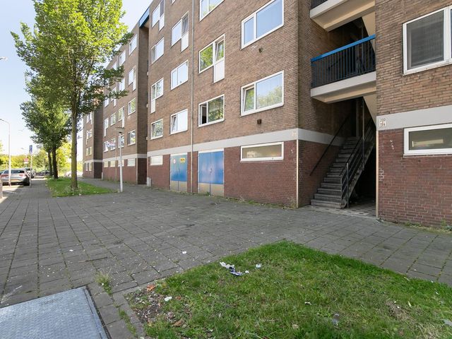 Linnaeusstraat 206, Zaandam