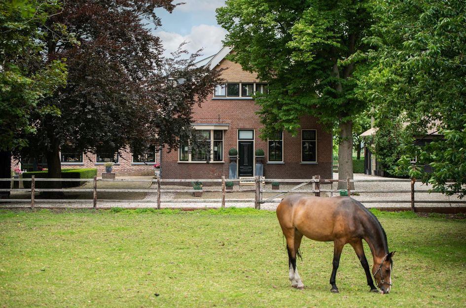 Woudweg 2
