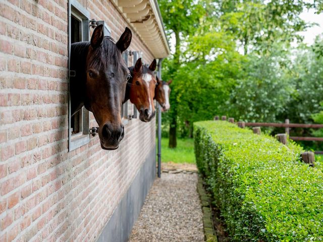 Woudweg 2, Schiedam