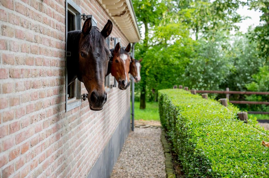 Woudweg 2