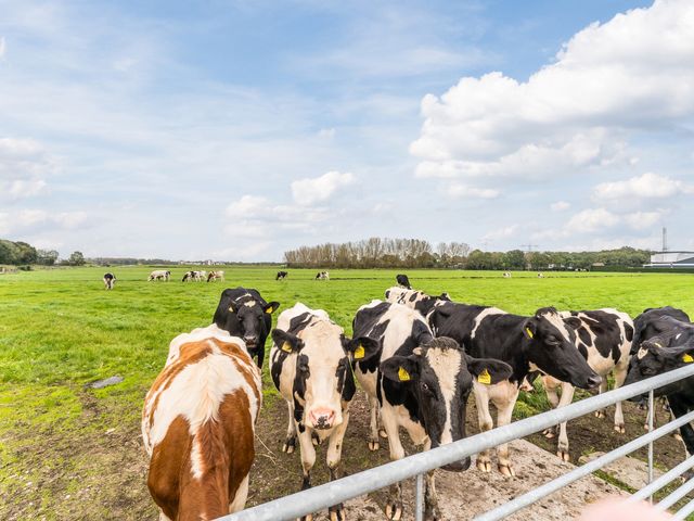Zuidwenk 92, Bunschoten-Spakenburg