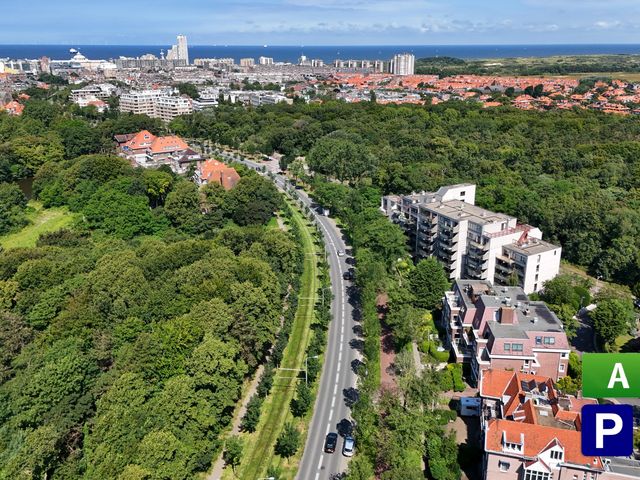 Nieuwe Parklaan 79E, Den Haag