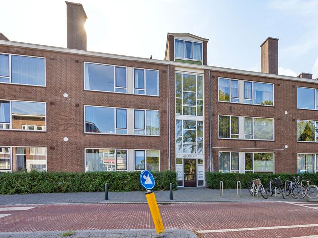 Theresiastraat 273, Den Haag