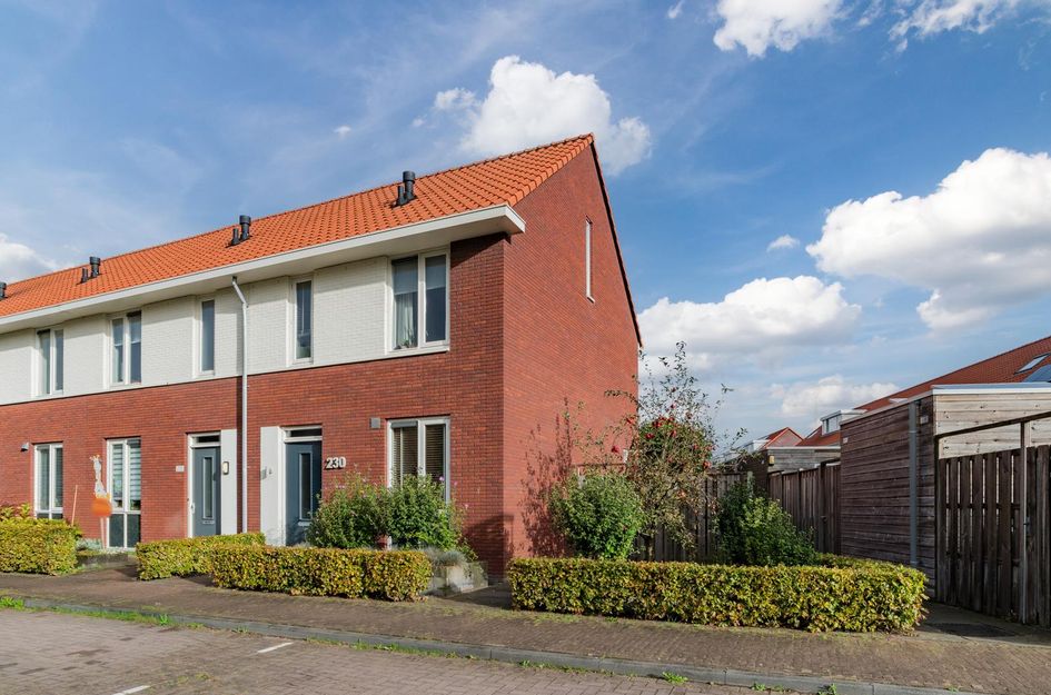 Polluxstraat 230