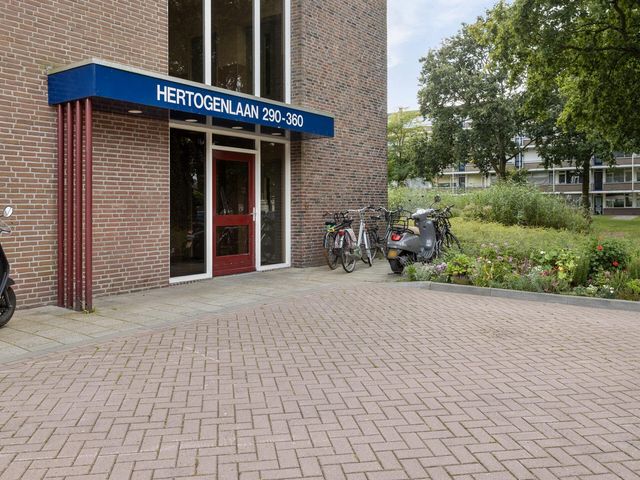 Hertogenlaan 346, Oosterhout