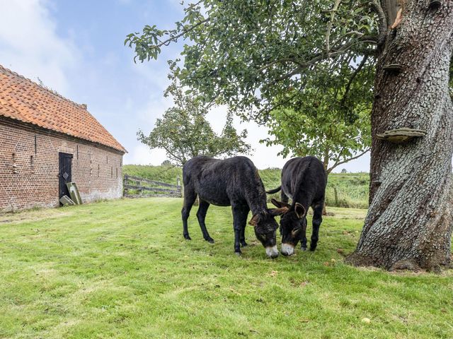 Steenhovensedijk 17, Waterlandkerkje