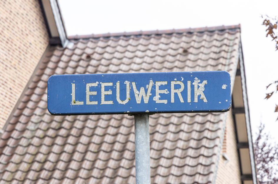 Leeuwerik 2