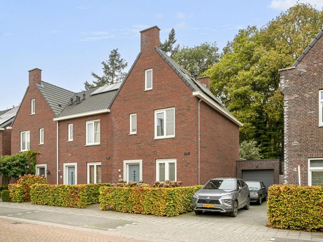 Korenbloem 6, Galder