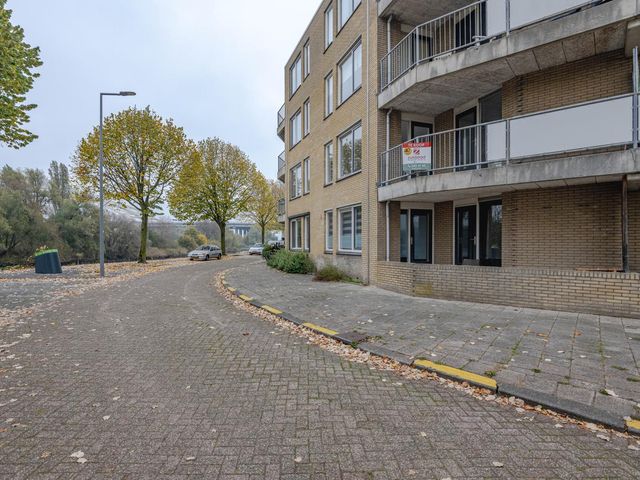 Zuiddiepje 102, Rotterdam