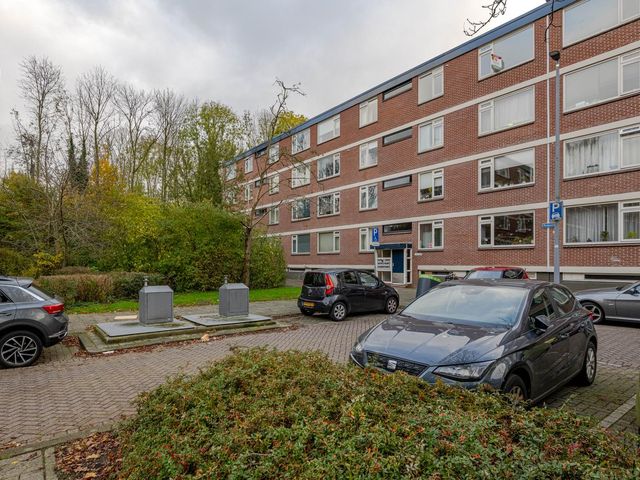 Ruigoord 244, Rotterdam