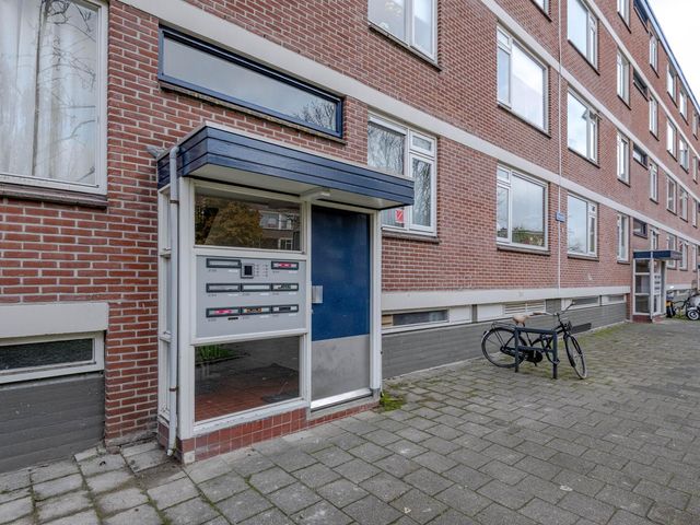 Ruigoord 244, Rotterdam