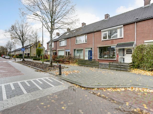 Leeuwerikstraat 18, Strijen