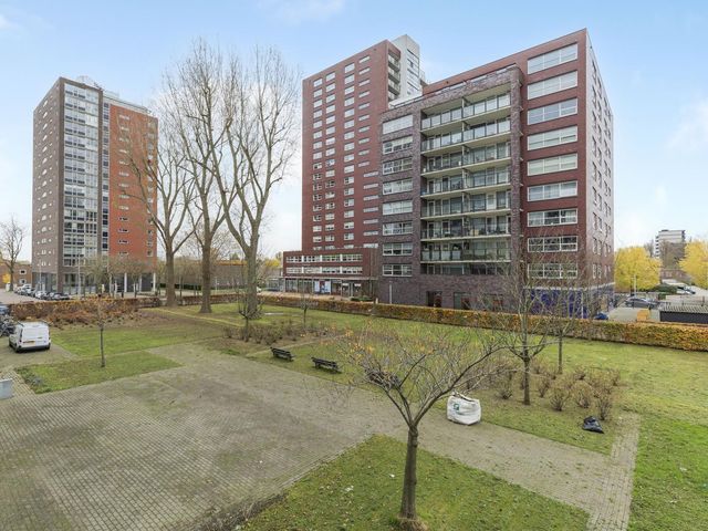 Plein 1953 92, Rotterdam