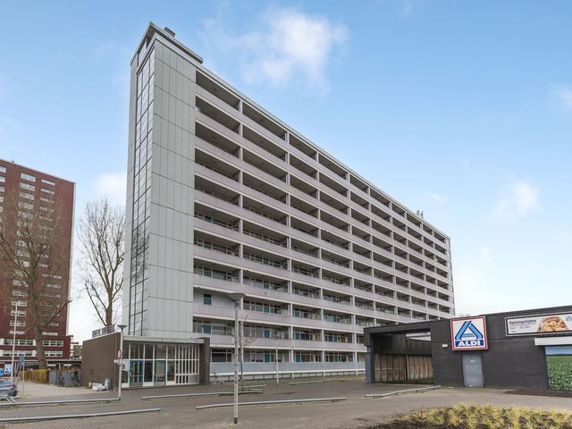 Plein 1953 92, Rotterdam