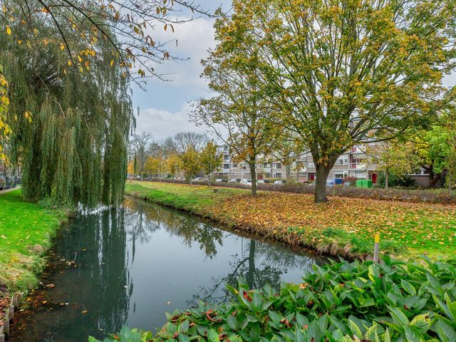 Burgemeester de Zeeuwstraat 220, Ridderkerk