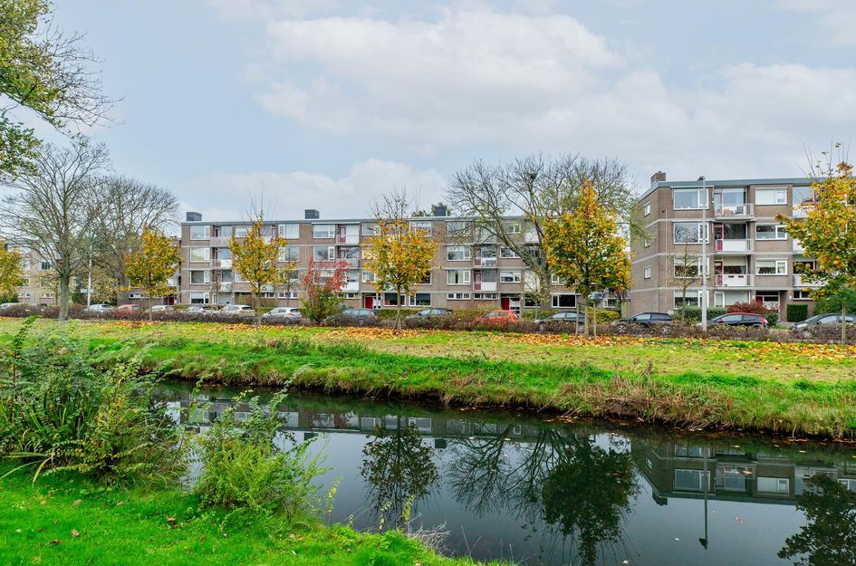 Burgemeester de Zeeuwstraat 220