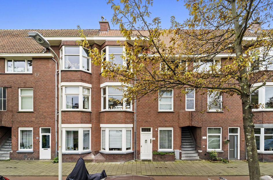 Pisuissestraat 93