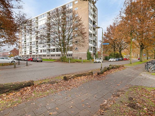 Lambert Heijnricsstraat 20A, Amersfoort