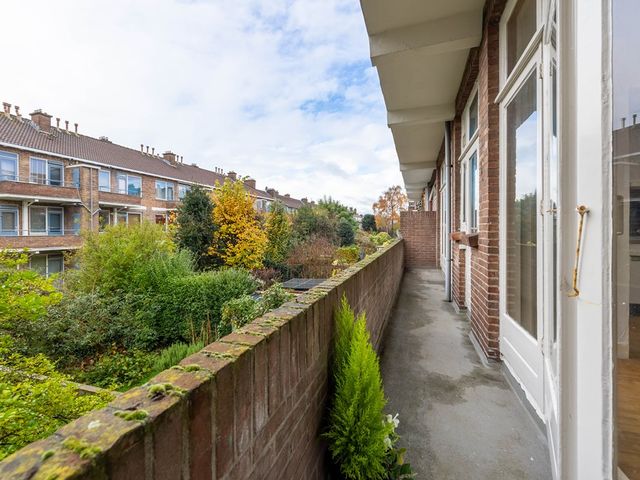 Laan van Nieuw Oosteinde 342, Voorburg