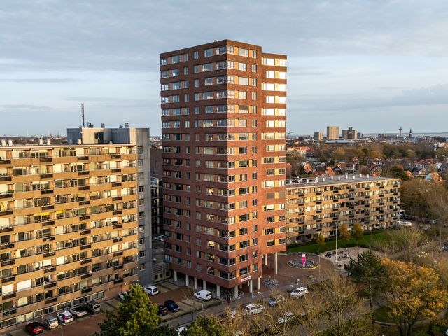 Vredehoflaan 252, Vlissingen