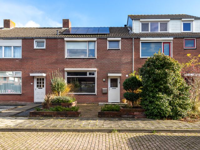 Swammerdamstraat 11, Terneuzen