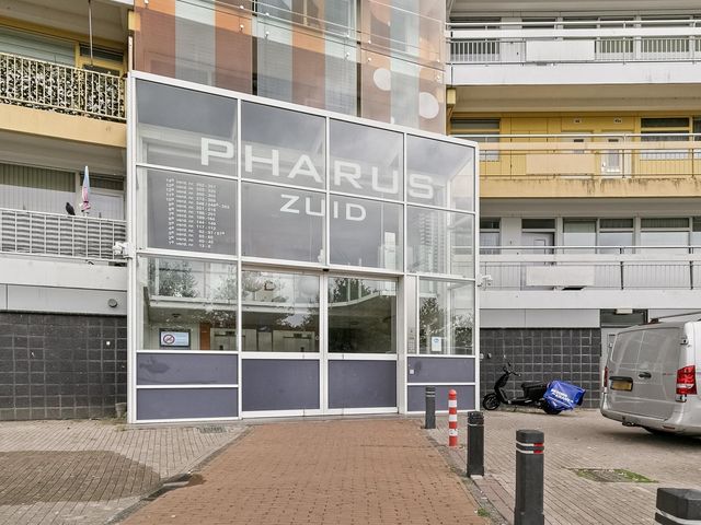 Pharus 211, Zaandam