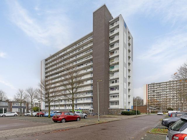 Louis Raemaekersstraat 217, Schiedam